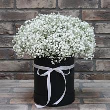 Цветочная композиция из Гипсофила в шляпной коробке в Смоленской
