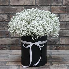 Цветочная композиция из Гипсофила в шляпной коробке в Смоленской