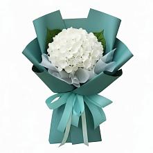 Букет цветов из:  Гортензия в Смоленской